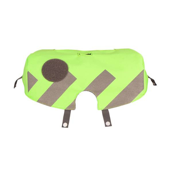 School Mood | NeonCap grün