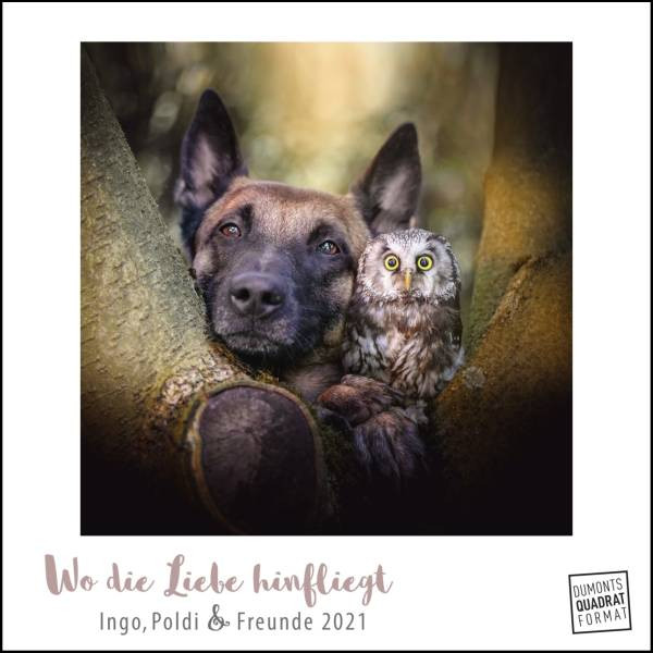 DUMONT Kalenderverlag | Wo die Liebe hinfliegt 2021 – Ingo, Poldi und Freunde – Wandkalender mit Spiralbindung – DUMONT Quadratformat 24 x 24 cm