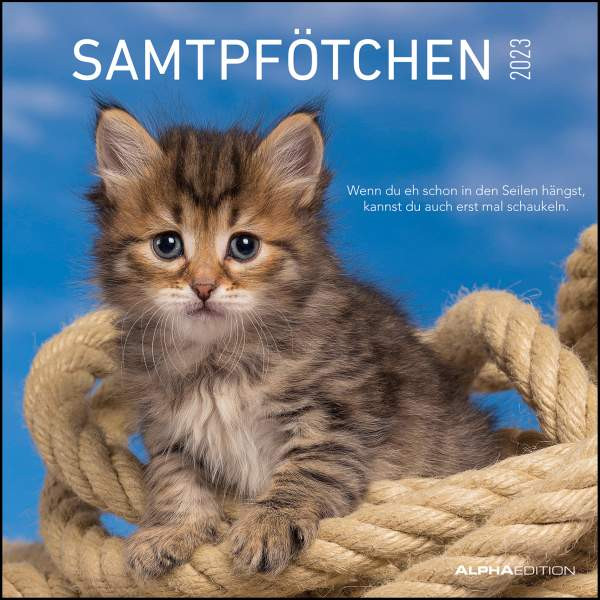 Neumann Verlage GmbH & Co. KG | Samtpfötchen 2023 - Broschürenkalender 30x30 cm (30x60 geöffnet) - Kalender mit Platz für Notizen - inkl. herausnehmbarem Poster - Bildkalender |