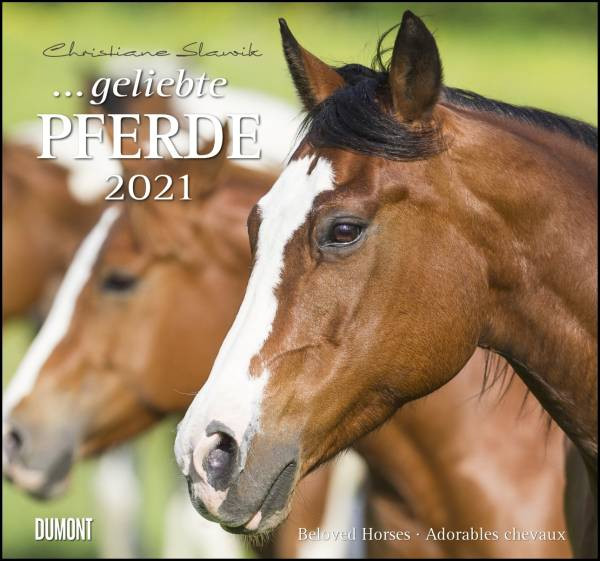 DUMONT Kalenderverlag | ... geliebte Pferde 2021 – DUMONT-Wandkalender – Format 38,0 x 35,5 cm