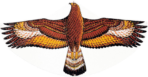 Günther | Einleinerdrachen Steinadler | 1146