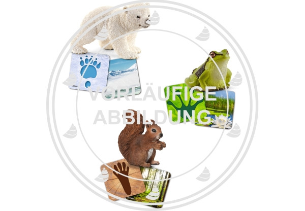 Schleich® Lernkarten Wild Life | 42474