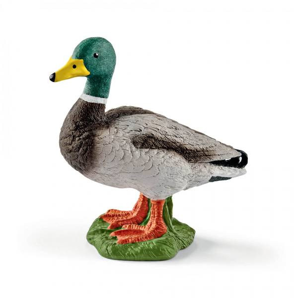 Schleich | Erpel | 13824