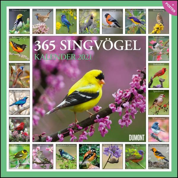 DUMONT Kalenderverlag | 365 Singvögel 2021 - Broschürenkalender - Wandkalender - mit Poster - Format 30 x 30 cm