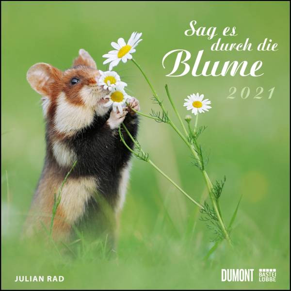 DUMONT Kalenderverlag | Sag es durch die Blume 2021 – Hamster, Eichhörnchen, Zwiesel in Nahaufnahme – Wandkalender mit Spiralbindung – DUMONT Quadratf
