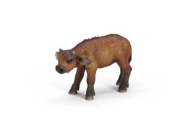 Schleich Wild Life: Kaffernbüffel Kalb (Syncerus caffer)