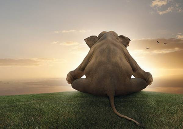 Rannenberg und Friends | Postkarte "Meditation"