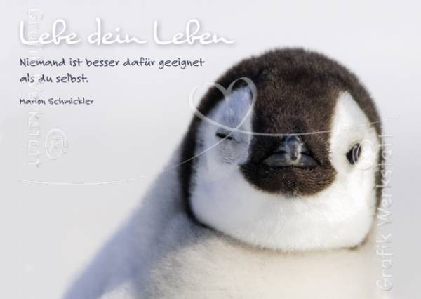 Grafik Werkstatt | Postkarte | Lebe dein Leben