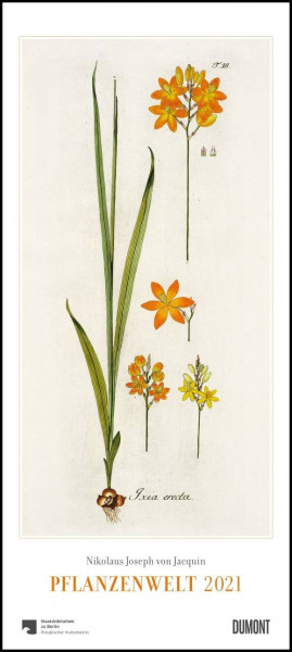 DUMONT Kalenderverlag | Nikolaus Joseph von Jacquin: Pflanzenwelt 2021 ? Wandkalender mit botanischen Zeichnungen ? Hoch-Format 22 x 49,5 cm