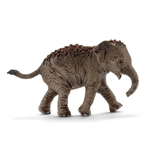 Schleich | Asiatisches Elefantenbaby | 14755