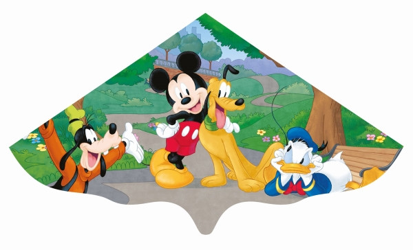 Günther | Einleinerdrachen Mickey | 1109