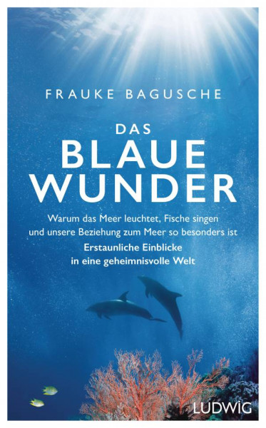 Ludwig | Das blaue Wunder