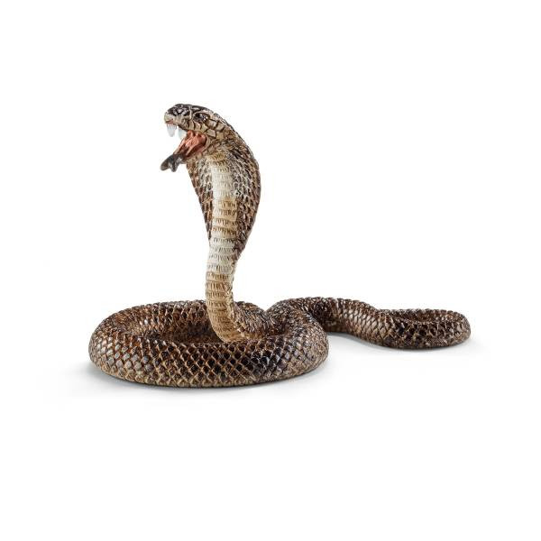 Schleich | World of Nature | Wild Life | Kobra | 14733