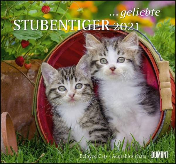 DUMONT Kalenderverlag | ... geliebte Stubentiger 2021 - DUMONT Wandkalender - mit den wichtigsten Feiertagen - Format 38,0 x 35,5 cm
