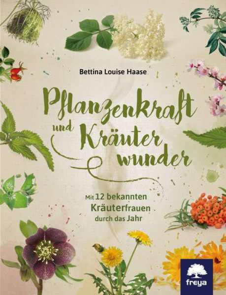 Freya | Pflanzenkraft und Kräuterwunder