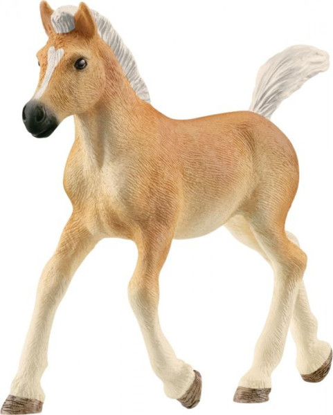 Schleich |schleich® Horse Club Haflinger Fohlen | 13951